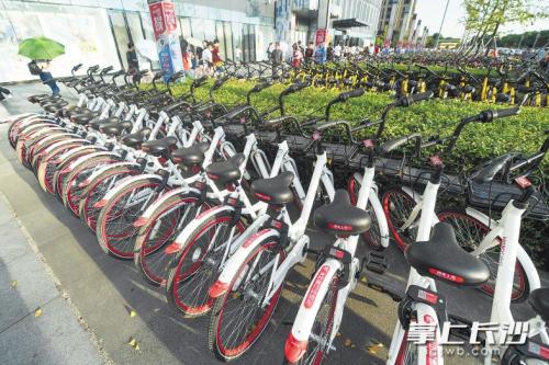 昨日下午，在開福區(qū)萬達(dá)廣場(chǎng)，成片的共享單車停放在廣場(chǎng)前坪。 長(zhǎng)沙晚報(bào)記者 黃啟晴 攝