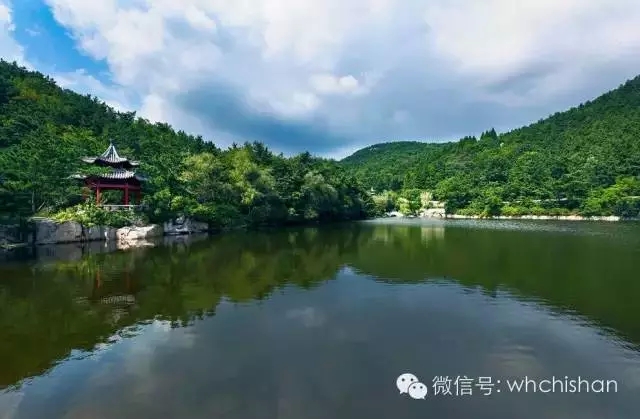 花期已過葉還未紅 去赤山賞云吧！