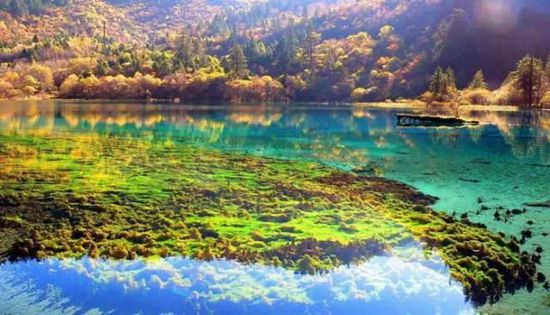 門票那么貴 沒法玩耍了！