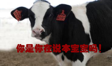 關(guān)我什么事！