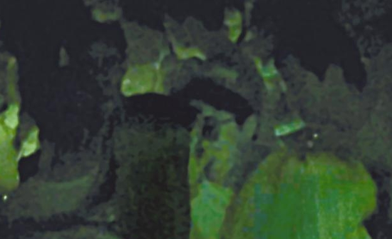 房祖名去年被港媒直擊在中環(huán)夜店與長發(fā)妞互動(dòng)曖昧，女生正是Nana