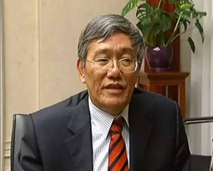 中央財經(jīng)領(lǐng)導小組辦公室副主任楊偉民 中央財經(jīng)領(lǐng)導小組辦公室副主任楊偉民