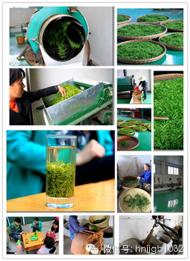 制茶的工藝真地道，仿佛聞到了茶香