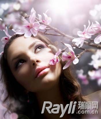 人面桃花相映紅 人面桃花相映紅