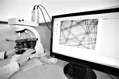 顯微鏡下，聚酯纖維很光亮，表面有斑點，粗細非常均勻。
