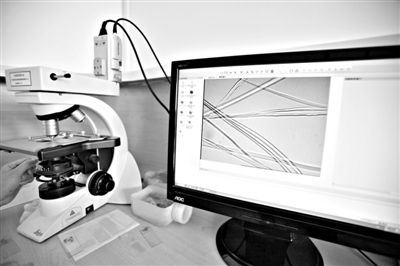 顯微鏡下，蠶絲呈現出表面有光澤，形狀不規(guī)則，粗細不均。