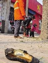 老漢右腿燒傷，樹下扔了一只燒焦的鞋