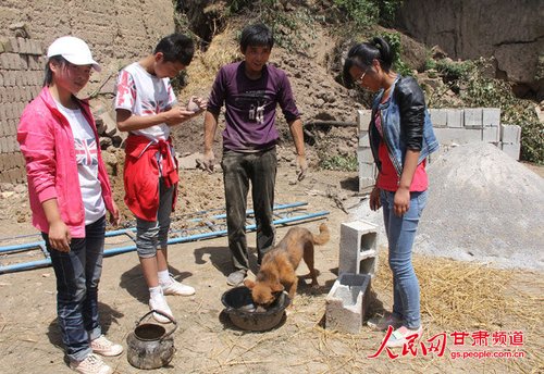 渴壞了的小黃狗在喝水。王生元/攝