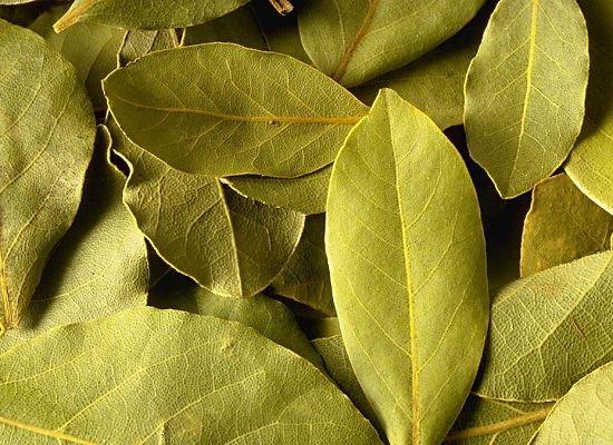 你知道廚房里常見調(diào)料的用法嗎？