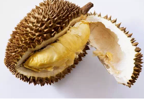 榴蓮控看過來:關(guān)于榴蓮不可不知的幾件事 榴蓮控看過來:關(guān)于榴蓮不可不知的幾件事