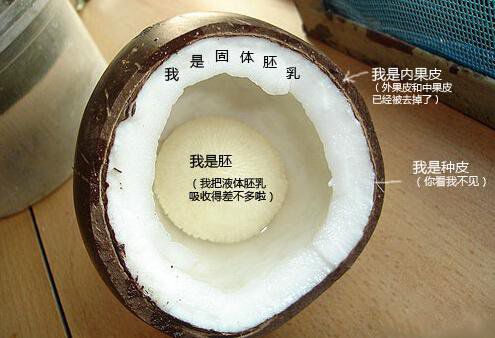 你在甜品店常吃的東西，到底都是啥？