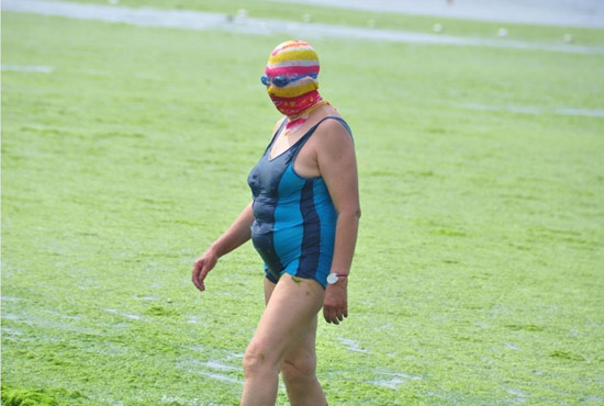 2013年7月3日，山東青島青島高溫來襲，“青島大媽”不懼滸苔，戴著“強(qiáng)盜面具”出現(xiàn)在海水浴場(chǎng)消暑降