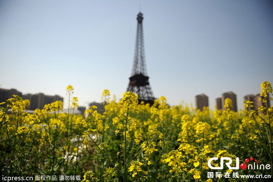 　2014年3月21日，杭州天都城，農民在山寨埃菲爾鐵塔下耕作。圖片來源：東方IC
