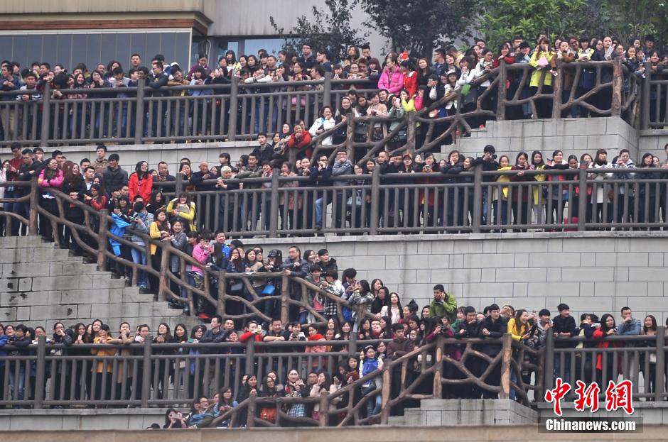 重慶上萬(wàn)粉絲在南濱路等待《奔跑吧兄弟》節(jié)目的錄制。
