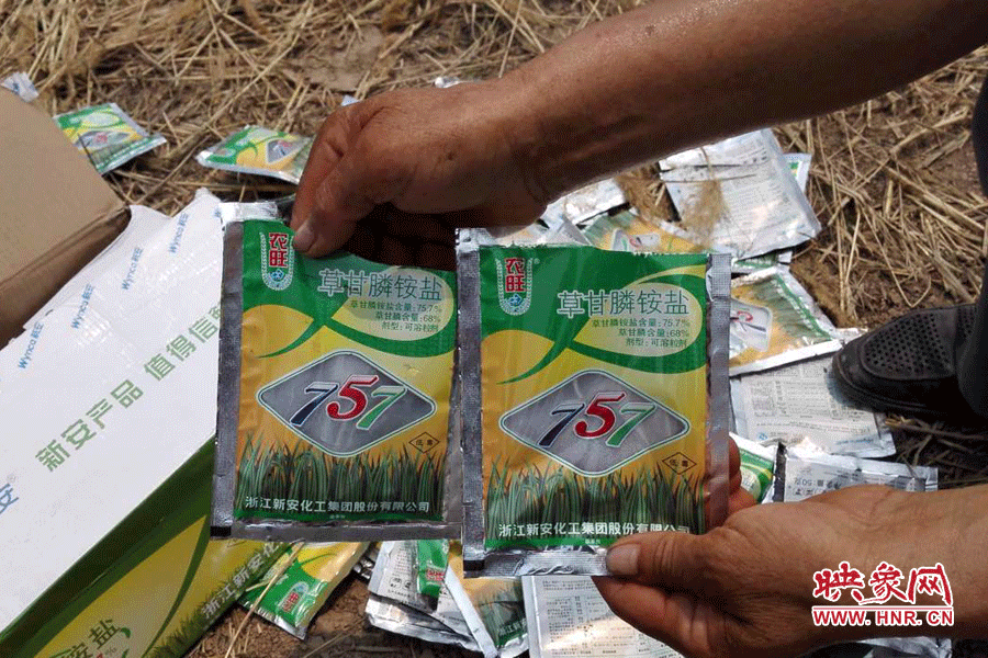 毀掉玉米的農(nóng)藥袋散落在地頭。