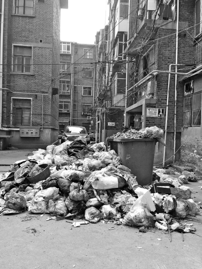 景苑小區(qū)內(nèi)堆起的“垃圾山” 景苑小區(qū)內(nèi)堆起的“垃圾山”