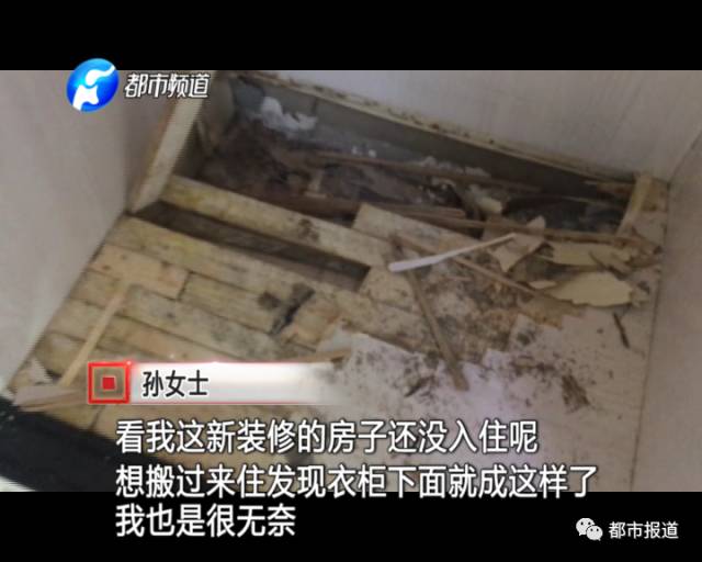 蟻?zhàn)宕筌娙肭?！十幾萬(wàn)裝修的新家被“吃掉”