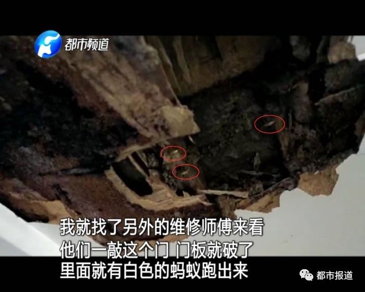 蟻?zhàn)宕筌娙肭?！十幾萬(wàn)裝修的新家被“吃掉”