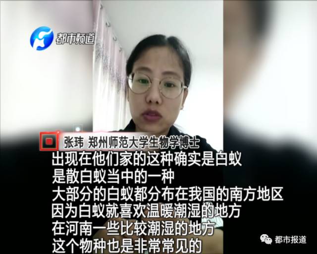 蟻?zhàn)宕筌娙肭?！十幾萬(wàn)裝修的新家被“吃掉”