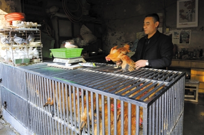 南京另一家農(nóng)貿(mào)市場內(nèi)待售的活雞。因南京出現(xiàn)H7N9禽流病例，買活雞的顧客減少。