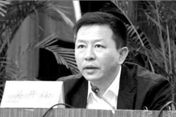 吳開(kāi)鋒 資料圖片 吳開(kāi)鋒 資料圖片