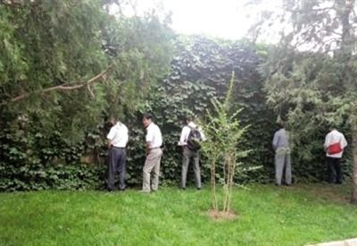 6月30日，頤和園內(nèi)綠地上，多名游客在小解。 網(wǎng)友“攝影老鬼” 攝