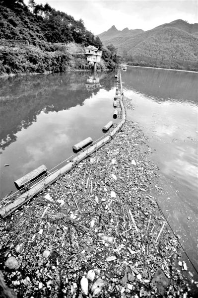 7月7日，廣西賀州市賀江合面獅段被污染的水域。據(jù)新華社