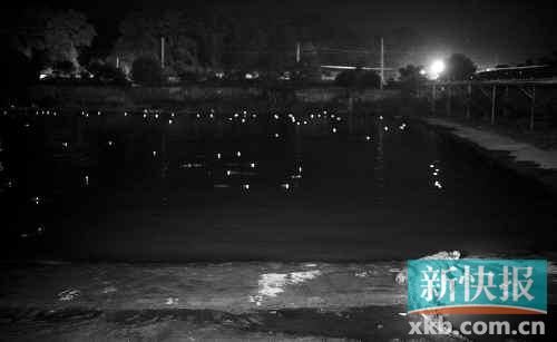 昨日，西湖村鱷魚養(yǎng)殖場已修復圍欄。