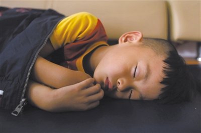 9月6日，等待錄制節(jié)目的多多躺在沙發(fā)上熟睡。新京報(bào)記者 侯少卿 攝