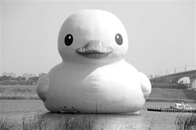 昨日，經(jīng)過連夜修正，大黃鴨的嘴部已恢復(fù)變寬，和在香港展出時(shí)看起來一樣。