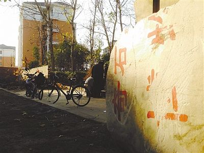 昨日，“上海奇石盆景博物館”原址上，已矗立起小區(qū)樓盤，而刻著博物館名的巨石，廢棄在一旁。本版圖片/新京報記者 張永生 攝