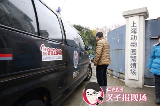 殯葬車到達(dá)現(xiàn)場(chǎng)。新民網(wǎng) 記者 蕭君瑋 攝