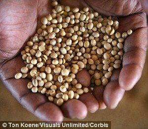 超強(qiáng)厄爾尼諾將引發(fā)全球極端天氣，中國北方或極端高溫-