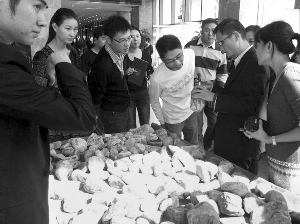 前段時間，夫子廟古玩城舉行的一場賭石活動，吸引了不少人參與