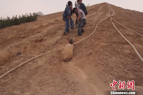 　4月27日上午，當(dāng)?shù)卮迕裨诠系販洗逡痪G化處挖出一枚長(zhǎng)1米，重200斤的炸彈，5月10日，這枚炸彈已