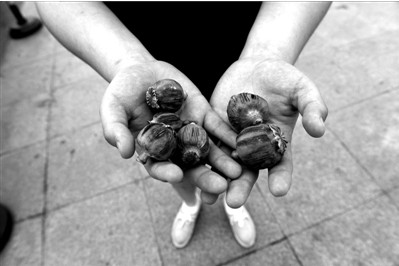 “大煙殼”輕易就可以買到。下圖：女攤主拿出藏在紅色兜子里的“大煙殼”，向記者兜售。京華時報實習記者趙思衡攝