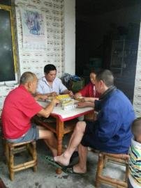 掃水掃不及，胥家鎮(zhèn)柏河村的居民干脆打起了麻將。