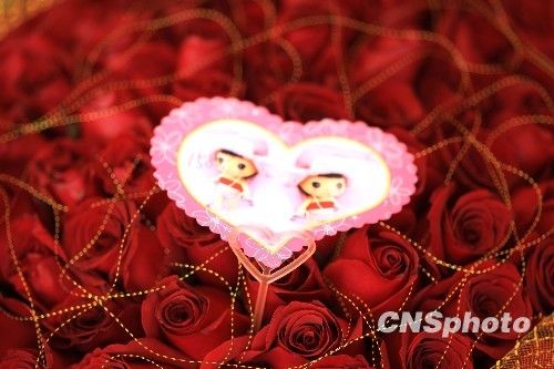 愛情為什么這么難 愛情為什么這么難