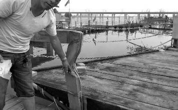 鼻孔里凝著血痂、全身多處擦傷的周先生仍有些驚魂未定。