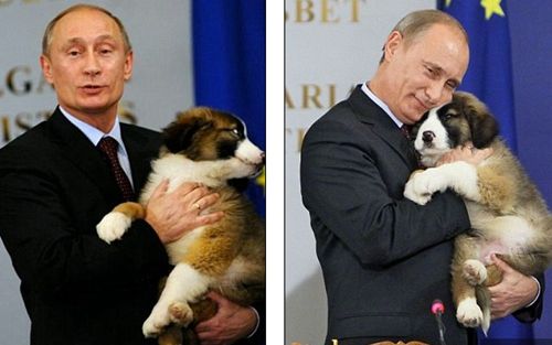 普京與寵物 普京與寵物