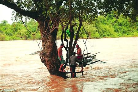 蓋屋、種菜，“從沒這樣快樂”