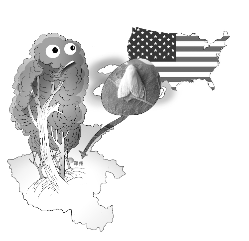 美國(guó)白蛾入侵一年能吃300多種植物 鄭州成為疫區(qū) 美國(guó)白蛾入侵一年能吃300多種植物 鄭州成為疫區(qū)