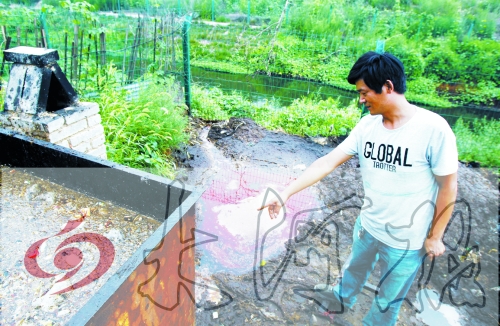 煉油點(diǎn)將骯臟、臭氣熏人的廢水直接排入溝渠。