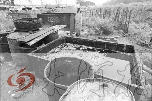 　　骯臟、令人作嘔的油桶凌亂地擺放在院子里，為了避免視覺刺激，我們把它做成了黑白圖片。