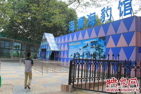因?yàn)槭侵芤唬嵵菔袆?dòng)物園海洋館的游客并不多。