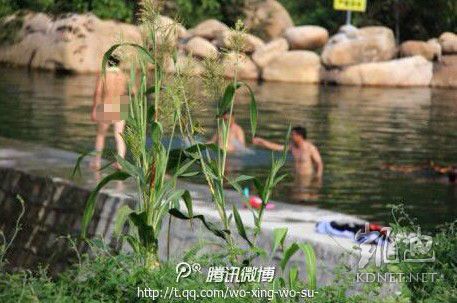 網(wǎng)友曝光的現(xiàn)場圖片。（圖片來自網(wǎng)絡(luò)）