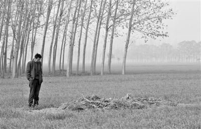 11月21日，高松中站在腦癱雙胞胎兒子墳前。