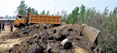 垃圾將生態(tài)涵養(yǎng)林給埋住了。