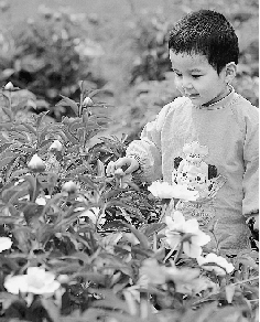 　春光里,鄭州處處皆美景。