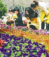 近距離才能拍得更真切。